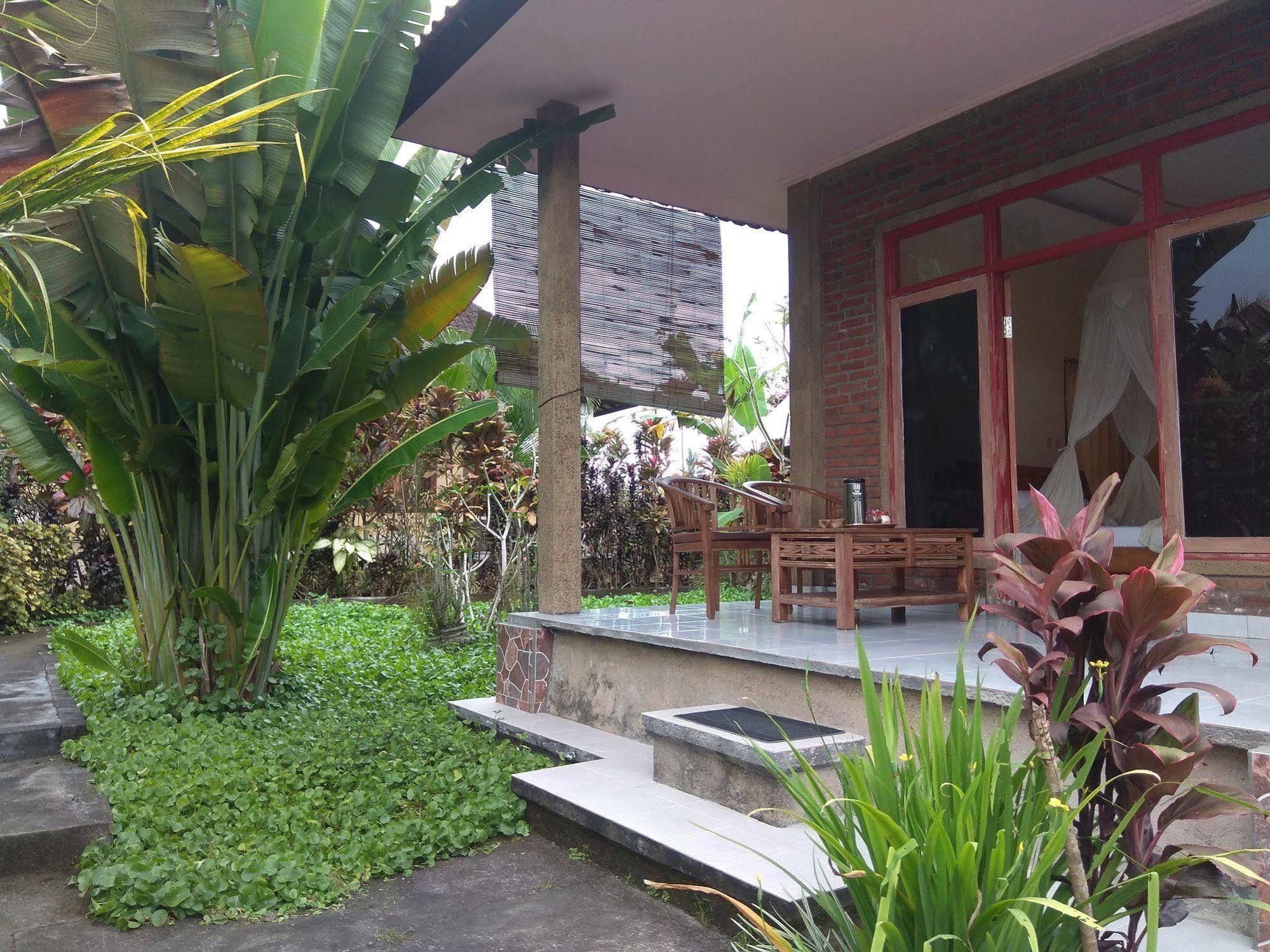 Oyo 1946 Terrace Campuhan Ubud  Exterior photo